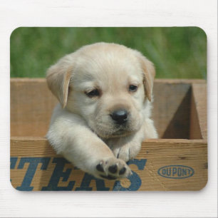 Labrador Retriever Puppy Dog Mouse Pad