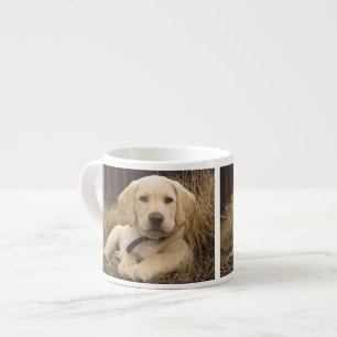 Labrador Retriever puppy Espresso Cup