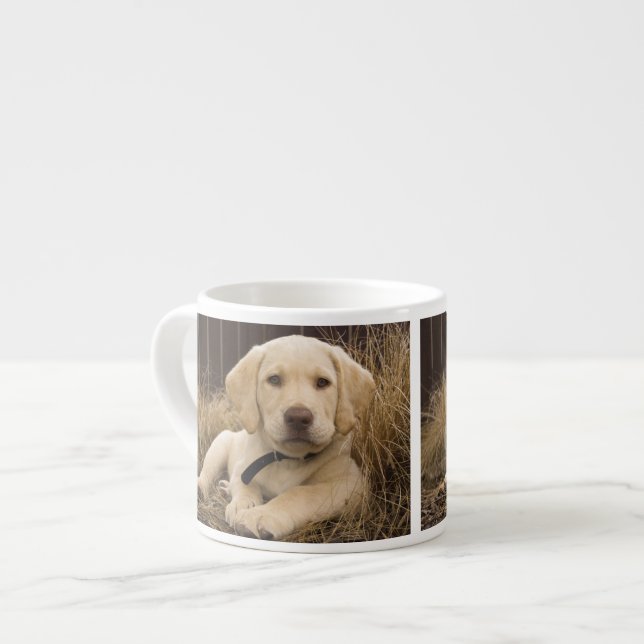 Labrador Retriever puppy Espresso Cup (Front Left)