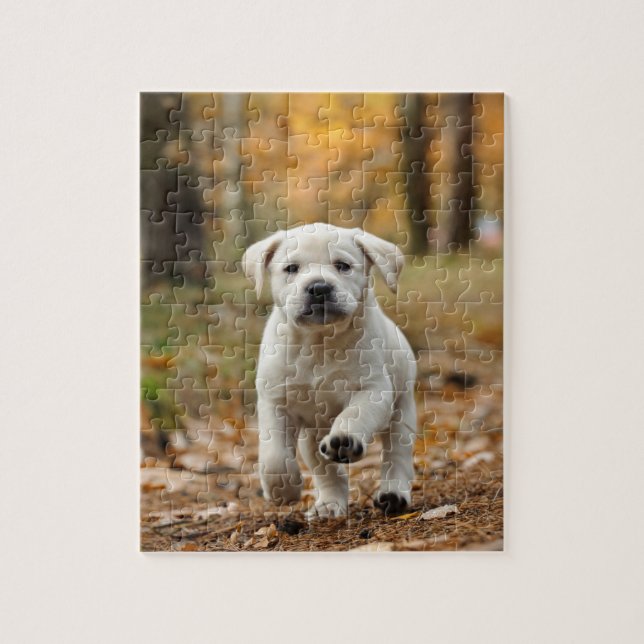 Labrador retriever puppy jigsaw puzzle (Vertical)