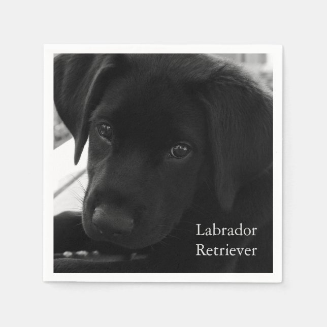 Labrador Retriever Puppy Napkin (Front)