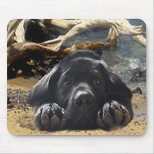 Labrador Retriever Puppy On Beach Mousepad