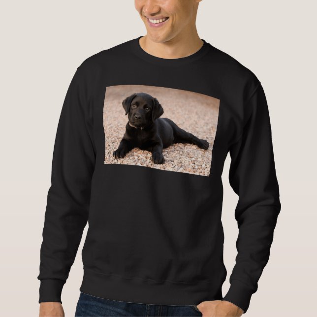 Labrador Retriever Puppy     Sweatshirt (Front)