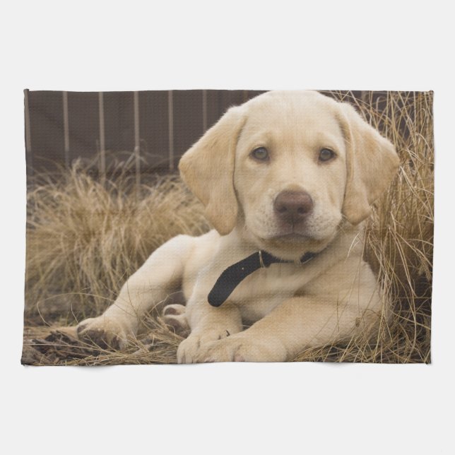 Labrador Retriever puppy Tea Towel (Horizontal)