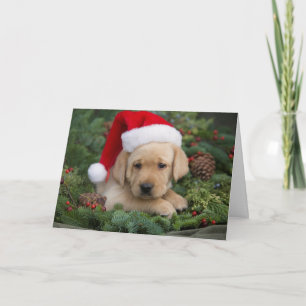 Labrador Retriever Puppy With Santa Hat Holiday Card