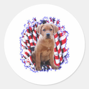Labrador Retriever (red) Patriot Classic Round Sticker