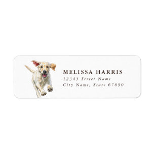 Labrador Retriever Return Address Labels