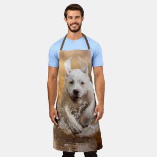 Labrador Retriever Running in River Apron