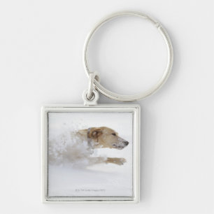 Labrador retriever running through deep snow key ring