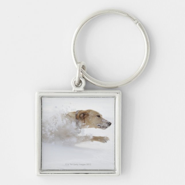 Labrador retriever running through deep snow key ring (Front)