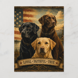 Labrador Retriever Rustic American Flag Postcard