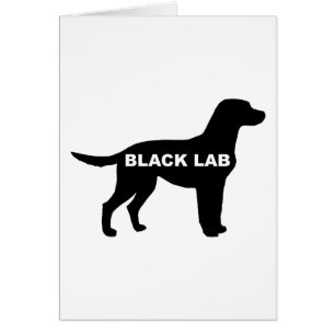 Labrador Retriever silo black