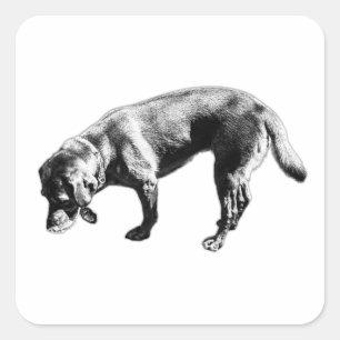 Labrador Retriever Sniffing Ink Art Sticker