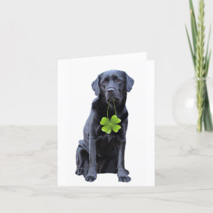 Labrador Retriever St.Patrick's Day Holiday Card