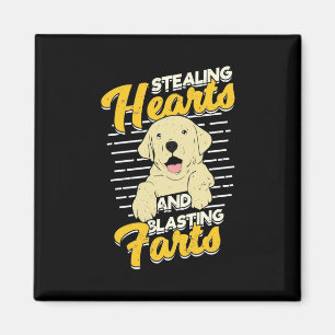 Labrador Retriever Stealing Hearts Magnet