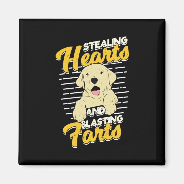 Labrador Retriever Stealing Hearts Magnet (Front)