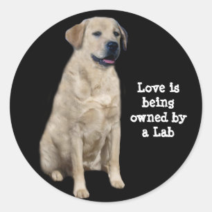 Labrador Retriever Sticker