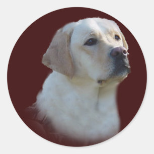 Labrador Retriever Sticker