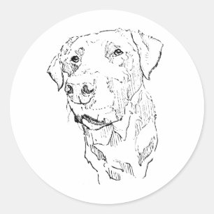 Labrador Retriever Sticker Art