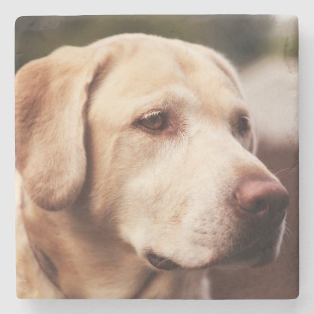 Labrador Retriever Stone Coaster (Front)