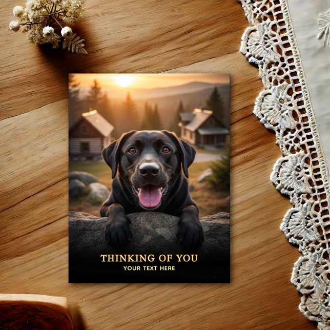Labrador Retriever Thinking Of You Postcard (Creator Uploaded)