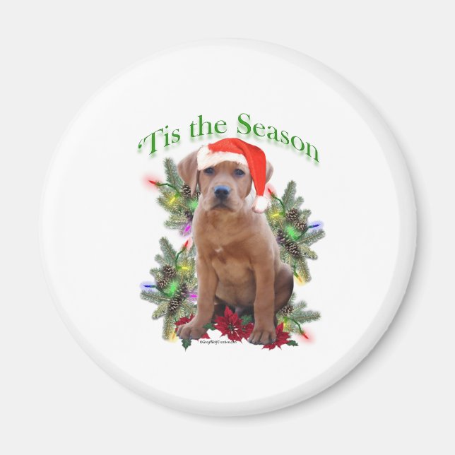 Labrador Retriever ‘Tis Magnet (Front)