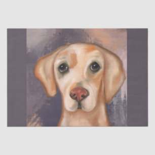 Labrador Retriever    Tissue Paper