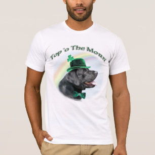 Labrador Retriever Top of the Morn