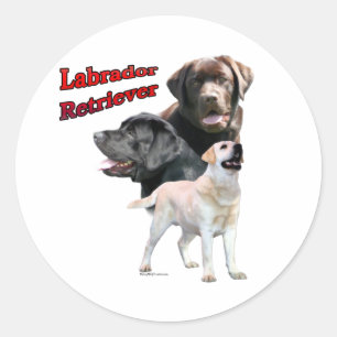 Labrador Retriever Trio 2 - Sticker