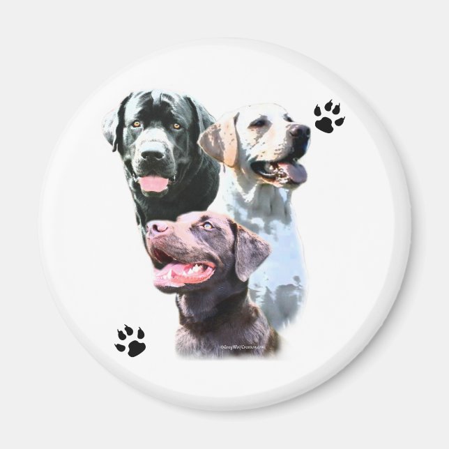 Labrador Retriever Trio - Magnet (Front)