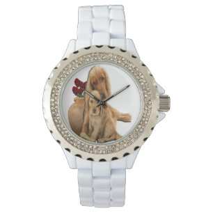 Labrador retriever watch