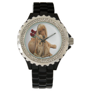 Labrador retriever watch