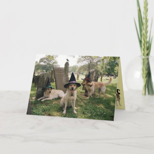Labrador Retriever Witch Halloween Card