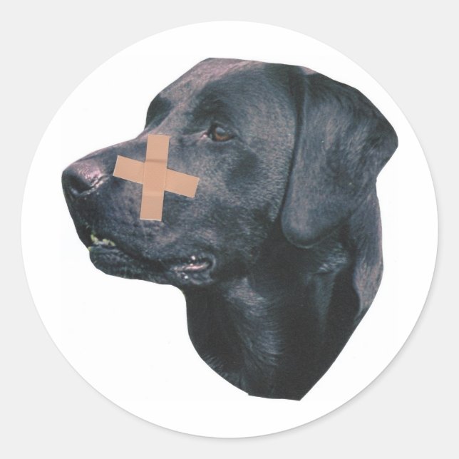 Labrador Retriever With Band-Aid Classic Round Sticker (Front)