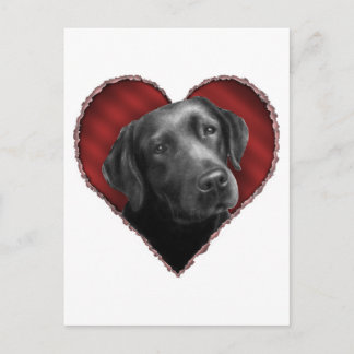 Labrador Retriever with Heart Postcard
