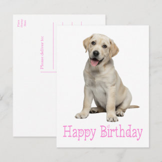 Labrador Retriever Yellow Lab Puppy Dog Birthday Postcard