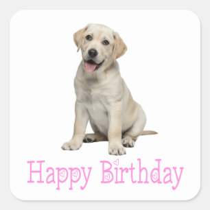 Labrador Retriever Yellow Lab Puppy Dog Birthday Square Sticker