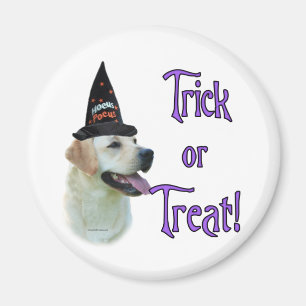Labrador Retriever (yellow) Trick Magnet