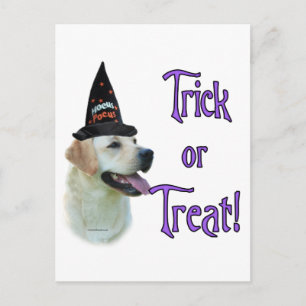 Labrador Retriever (yellow) Trick Postcard