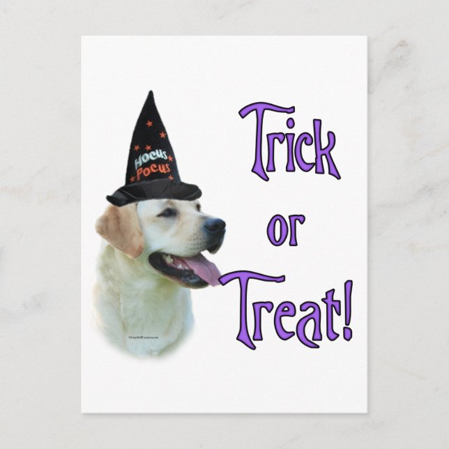 Labrador Retriever (yellow) Trick Postcard (Front)