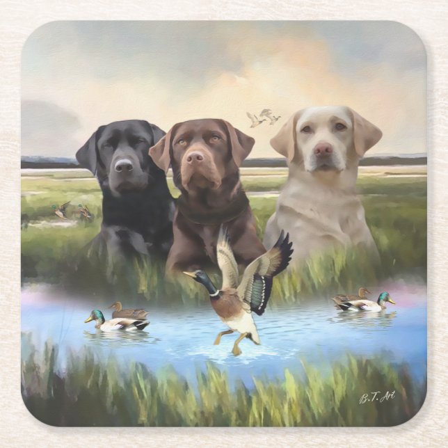 Labrador Retrievers, (Hunting dogs)  Square Paper Coaster (Front)