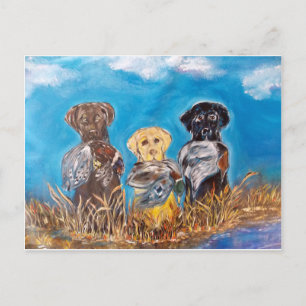 LABRADOR RETRIEVERS POSTCARD