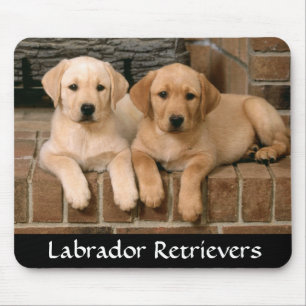 Labrador Retrievers Rule Puppies Mousepad