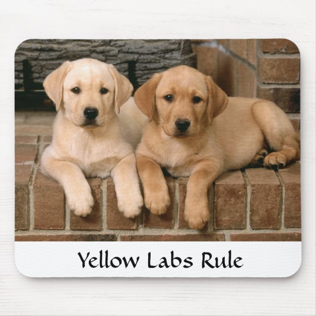 Labrador Retrievers Rule Puppies Mousepad (Front)