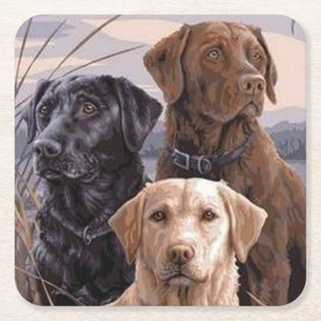 Labrador Retrievers Square Paper Coaster (Front)