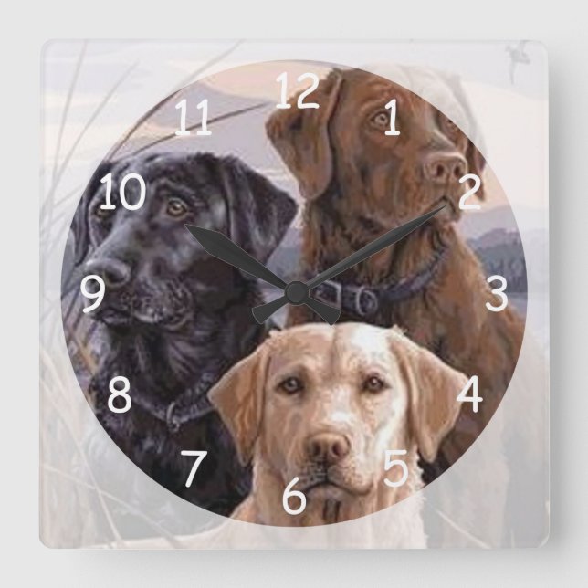 Labrador Retrievers Square Wall Clock (Front)