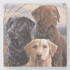 Labrador Retrievers