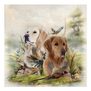 Labrador Retrievers with Pheasant ,Art  Photo Print