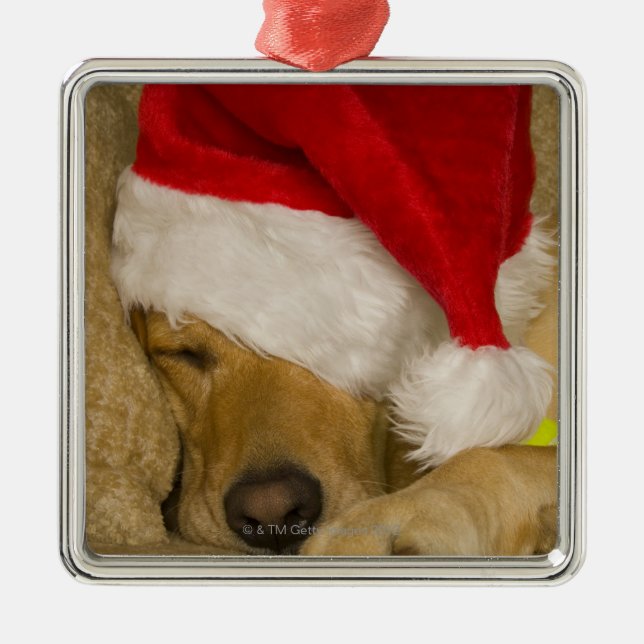 Labrador Santa Claus Metal Tree Decoration (Front)