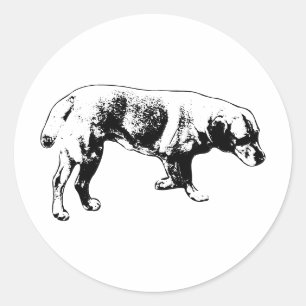  Labrador Silhouette Sticker